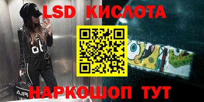 крисы Малгобек