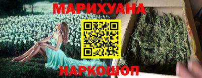 крисы Малгобек
