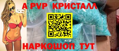 крисы Малгобек